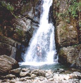 Cascada La Mina,Yunque PR
